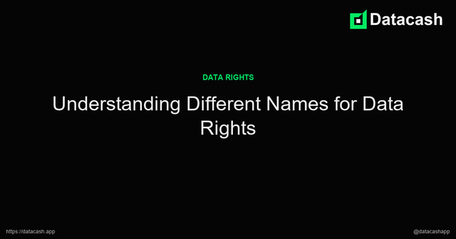 Understanding Different Names for Data Rights article image